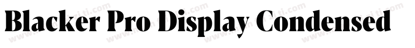 Blacker Pro Display Condensed Trial字体转换
